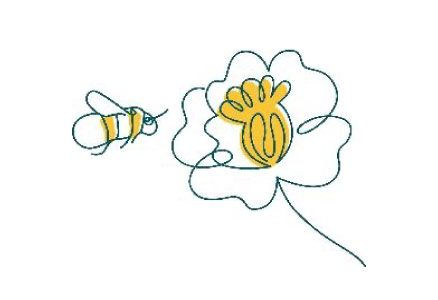 trundl, trunlde, walking app, charity walking, raise money for charity by walking, charity walking app, trundl for charity, trundl donations, charity app, trundl for health, how to raise money for charity