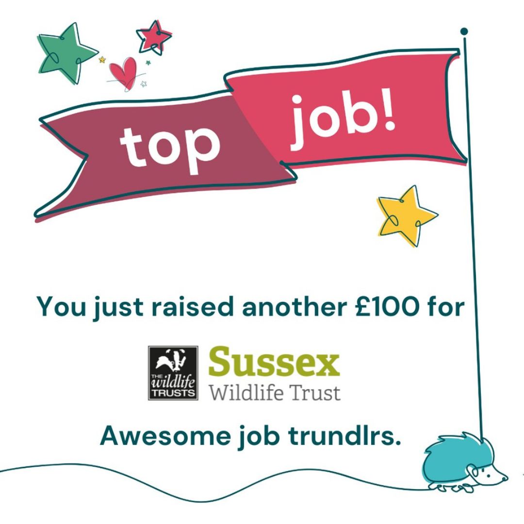 trundl, trunlde, walking app, charity walking, raise money for charity by walking, charity walking app, trundl for charity, trundl donations, charity app, trundl for health, how to raise money for charity