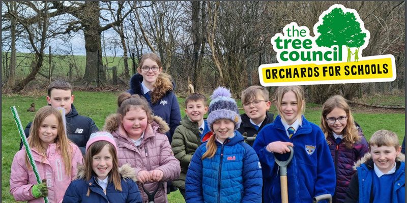 trundl, trunlde, walking app, charity walking, raise money for charity by walking, charity walking app, trundl for charity, trundl donations, charity app, trundl for health, how to raise money for charity