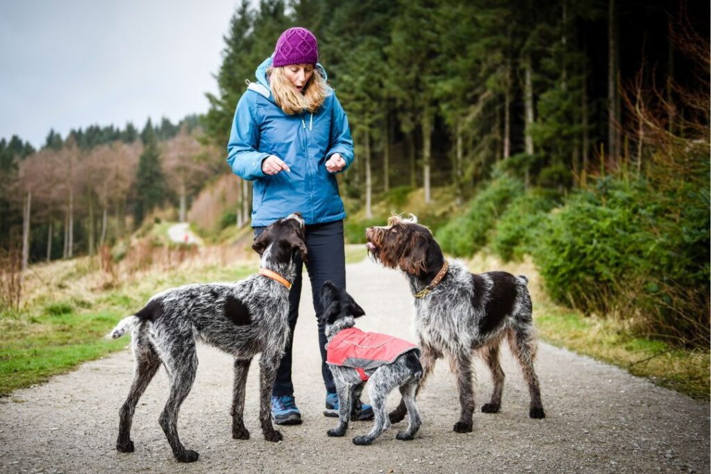 The picture shows Hil Mines, founder of walking for charity app trundle, with some friendly dogs out on a walk