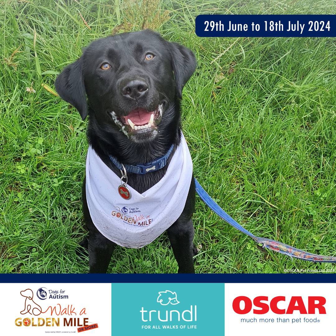 walking for charity app trundle supports Dogs for Autism