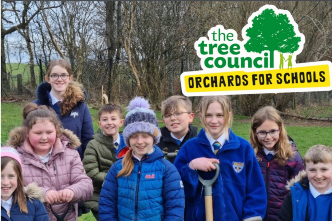 Through the trundl CO2 Saver, we support the Tree Council by helping plant orchards in UK schools