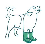 Dog in boots trundl illustration