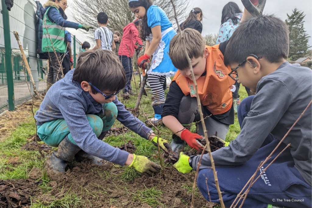 A group of primary school children crouch down to plant an orchard of fruiting trees, funded by walking for charity app trundl and The Tree Council